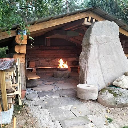 Domek Pod Krolowem Ustron Extérieur photo